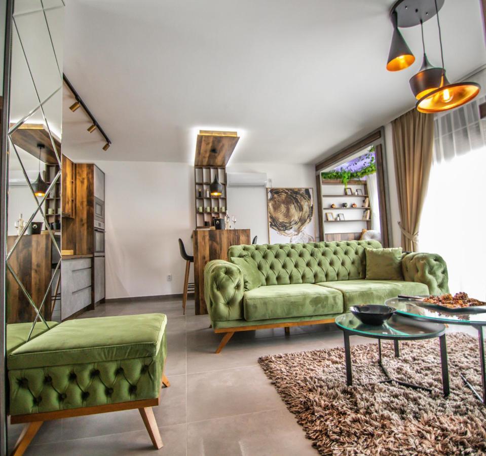Royal Luxury Apartment Vrsac Buitenkant foto