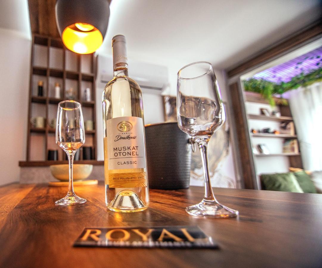 Royal Luxury Apartment Vrsac Buitenkant foto