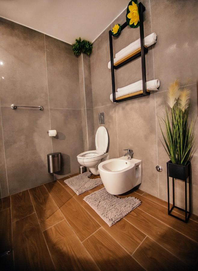 Royal Luxury Apartment Vrsac Buitenkant foto