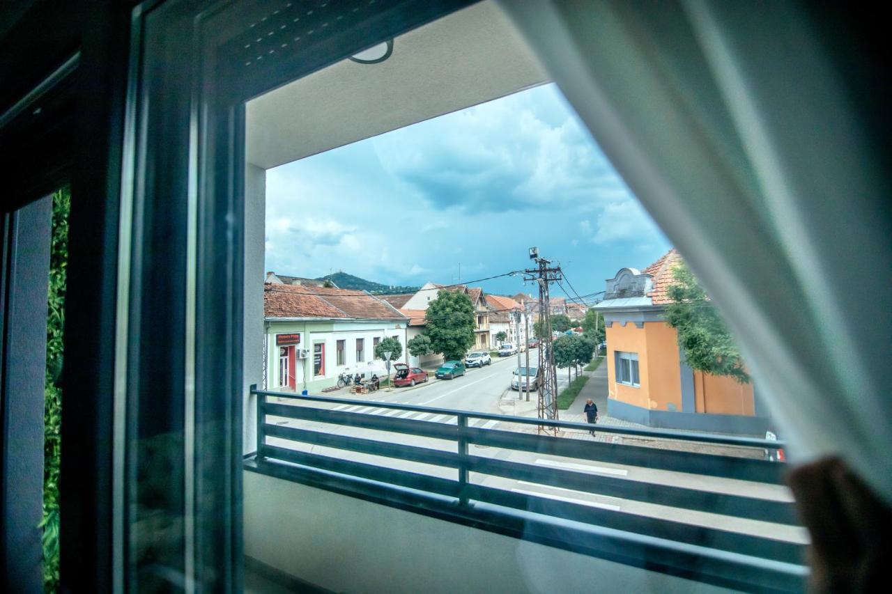Royal Luxury Apartment Vrsac Buitenkant foto