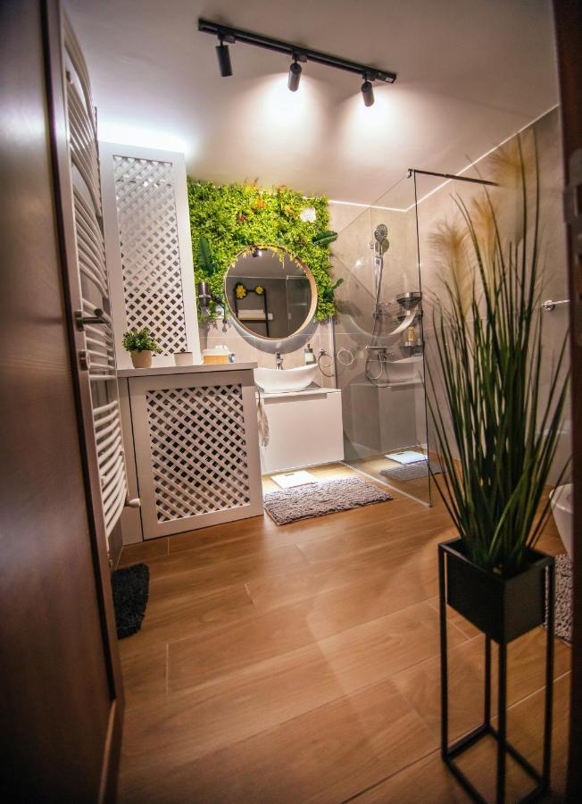 Royal Luxury Apartment Vrsac Buitenkant foto